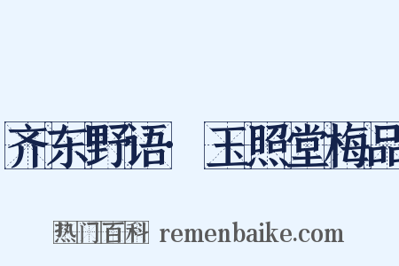 齐东野语·玉照堂梅品是什么意思的图片